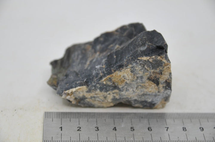 Petrified Wood XS44 - Hardscape.nl