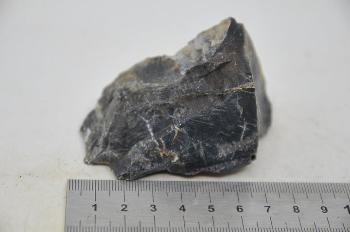 Petrified Wood XS44 - Hardscape.nl