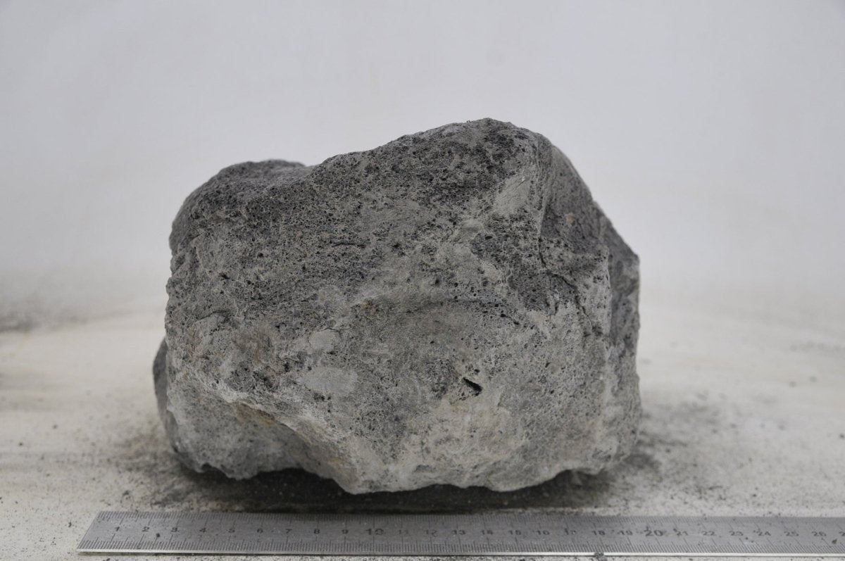 Black Lava Rock XL37 - Hardscape.nlExtra Large