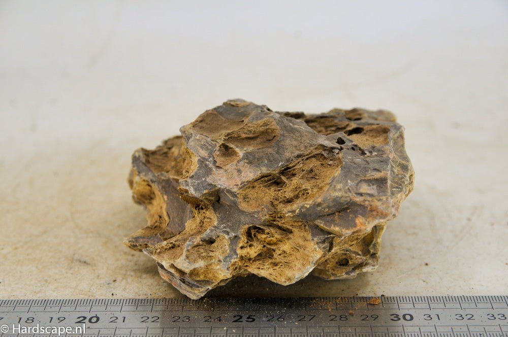 Dragon Stone L159 - Hardscape.nlLarge
