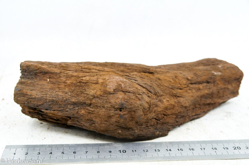 Driftwood M53 - Hardscape.nlMedium