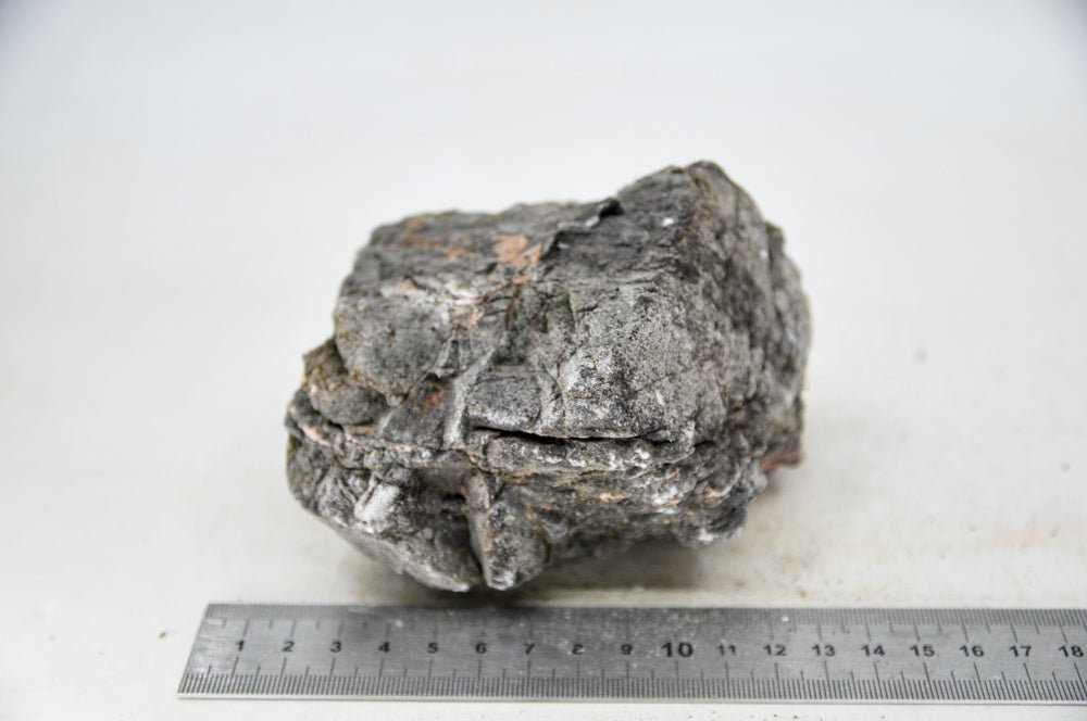 Elephant Skin Rock L16 - Hardscape.nlLarge