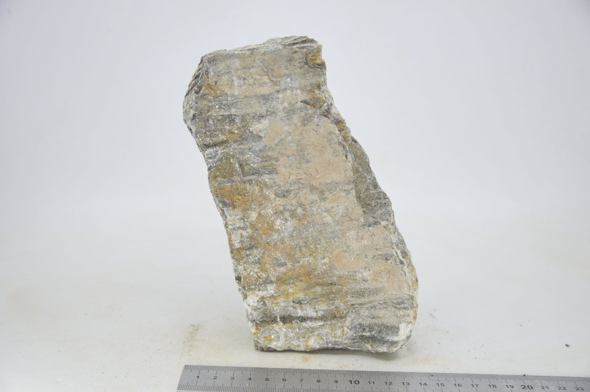 Glimmer Wood Rock XL19 - Hardscape.nlExtra Large