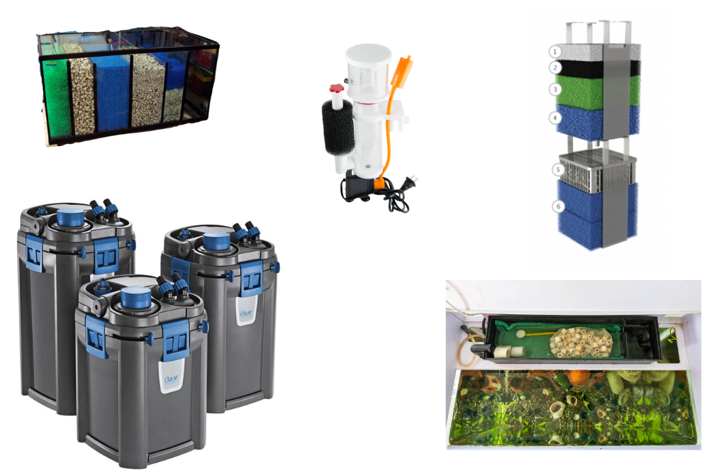 Alles wat je moet weten over aquariumfilters: soorten en tips