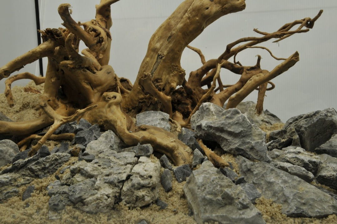 De kunst van Aquascaping - Hardscape.nl