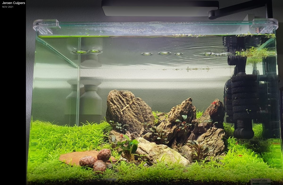 Jeroen's scape - Hardscape.nl