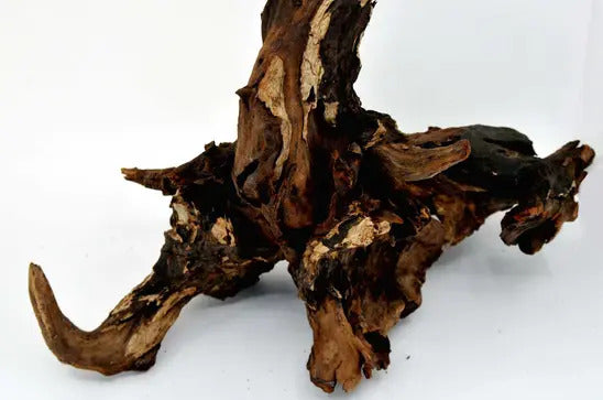 driftwood