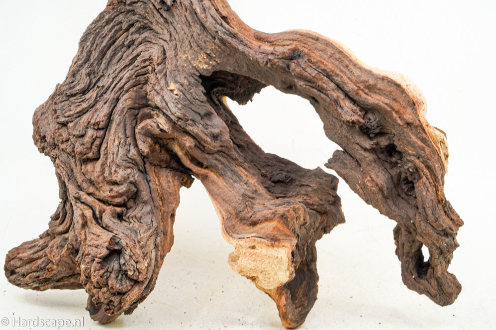 Mopani Hout