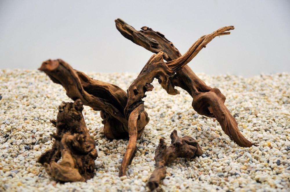 Driftwood Nanoscape set - Hardscape.nl