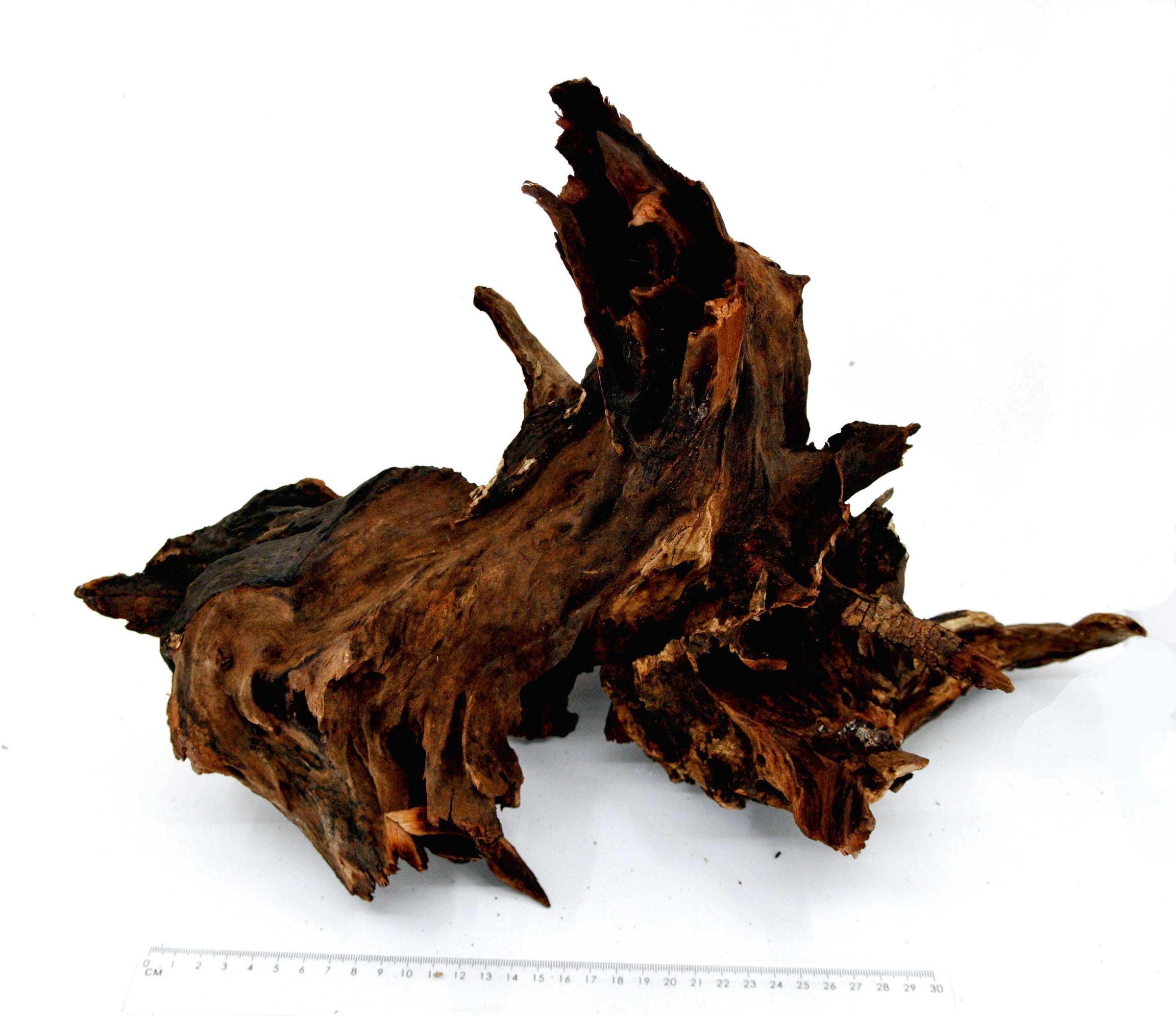 Driftwood XL (Centerpiece) - Hardscape.nl