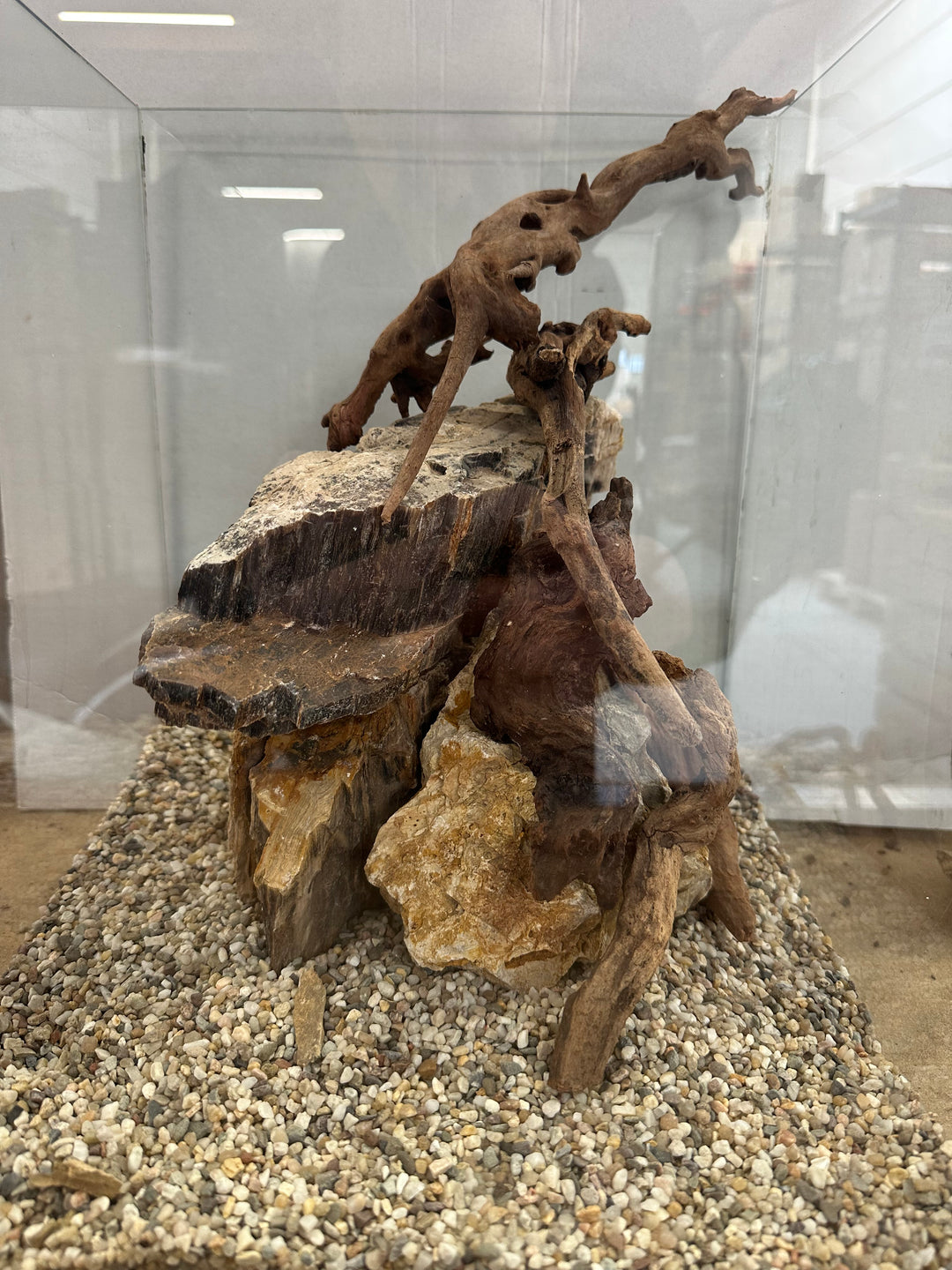 Petrified Wood Scape - Hardscape.nl