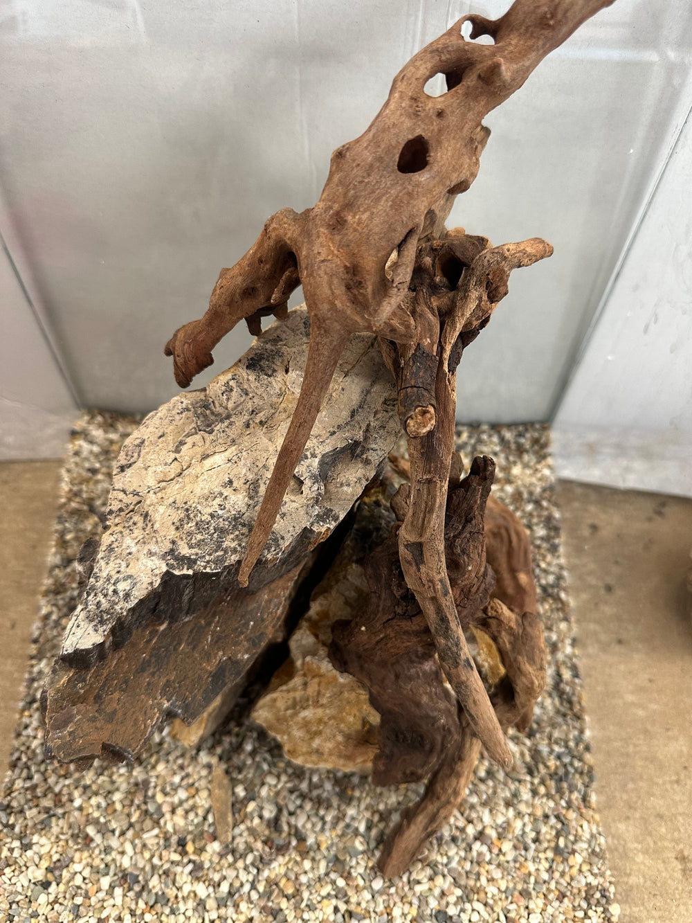 Petrified Wood Scape - Hardscape.nl