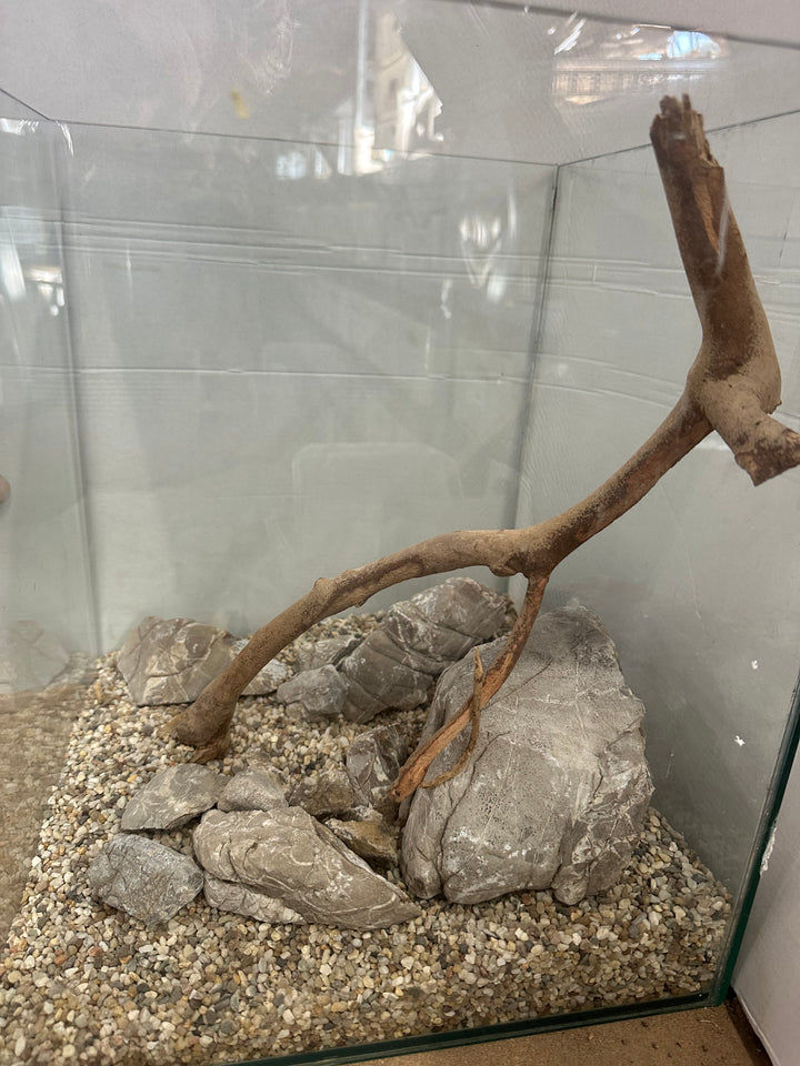 Elephant Rock - Hardscape.nl