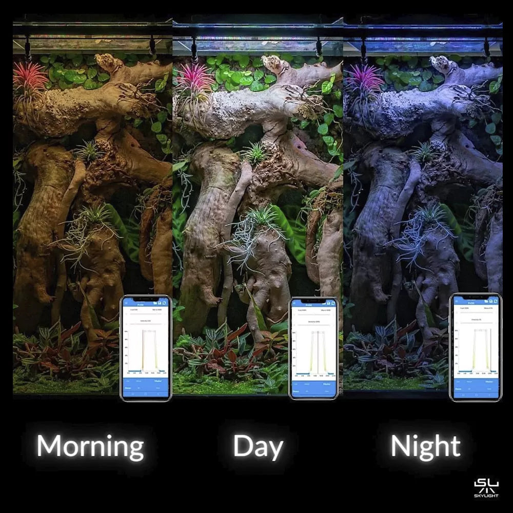 Skylight AQCT-3 wifi controller - Hardscape.nl