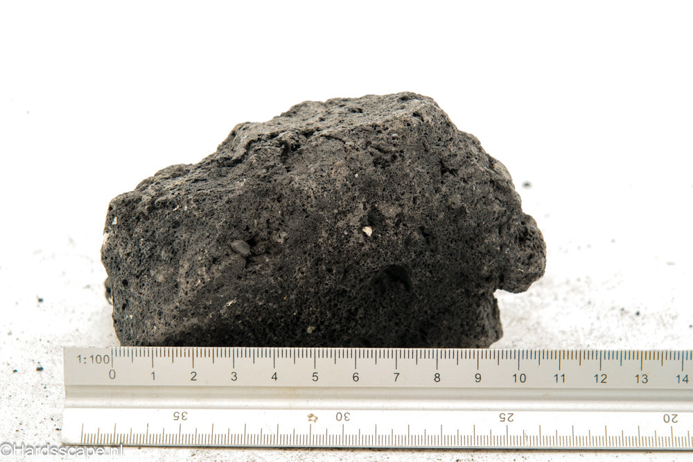 Black Lava Rock M231