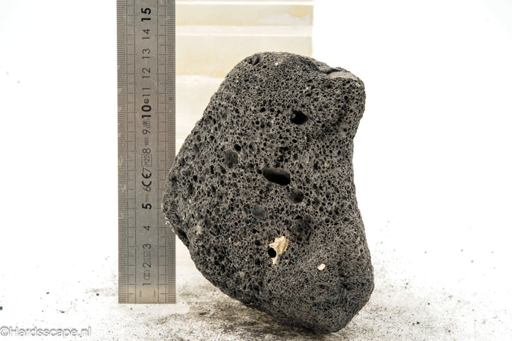 Black Lava Rock M234