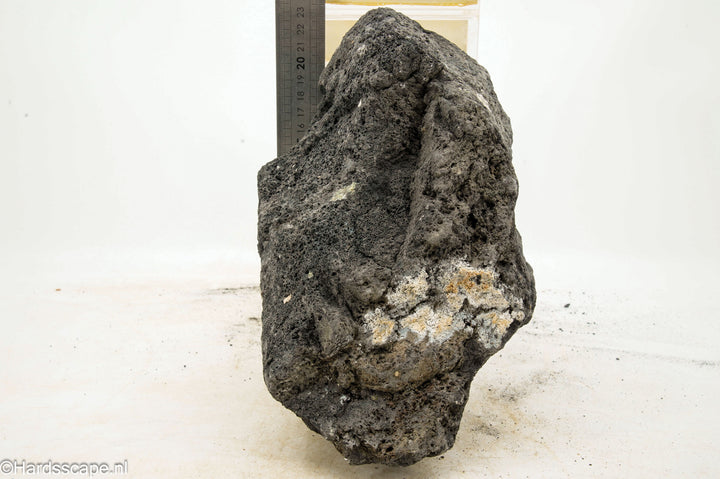Black lava Rock XL134