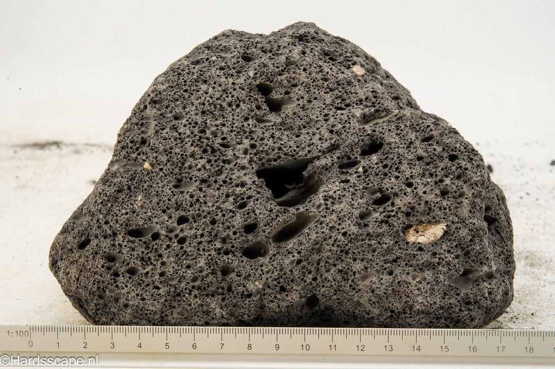 Black lava Rock XL141