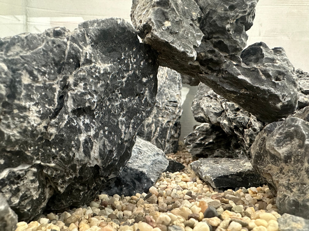 Dark Seiryu scape - Hardscape.nl