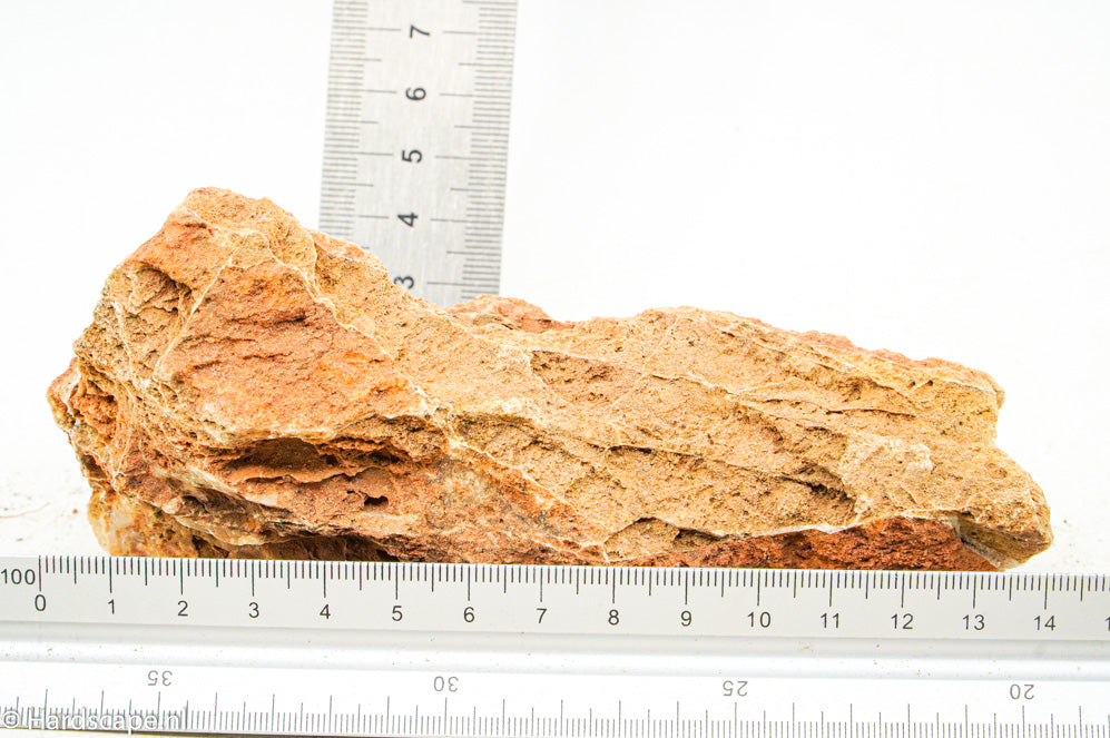 Maple Leaf Rock S80 - Hardscape.nl