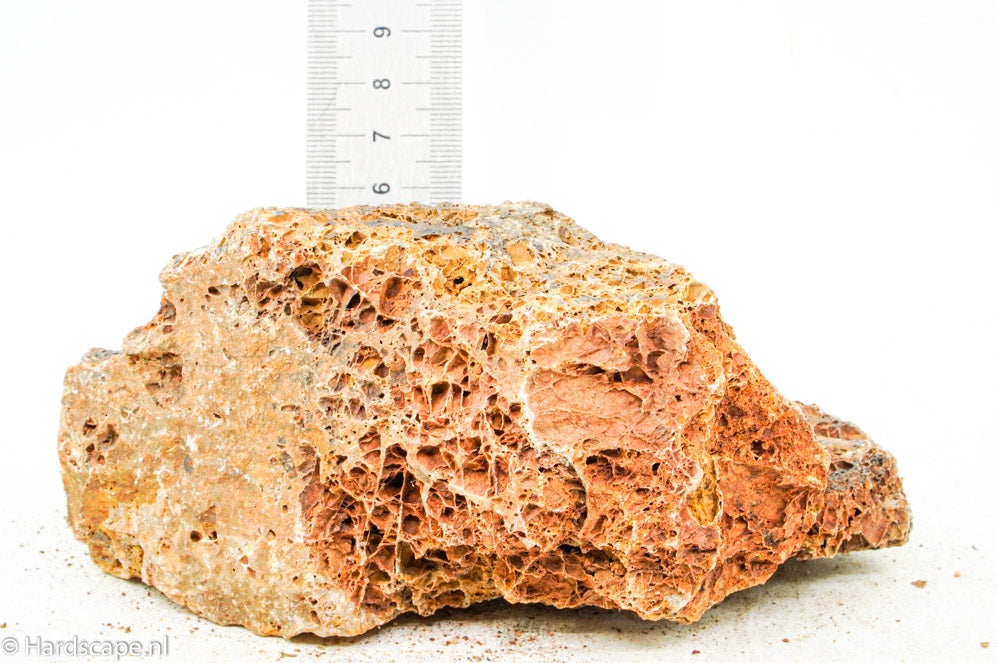 Maple leaf rock S86 - Hardscape.nl