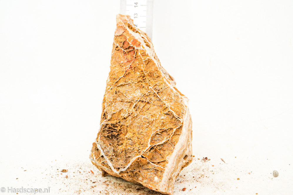 Maple leaf rock S88 - Hardscape.nl
