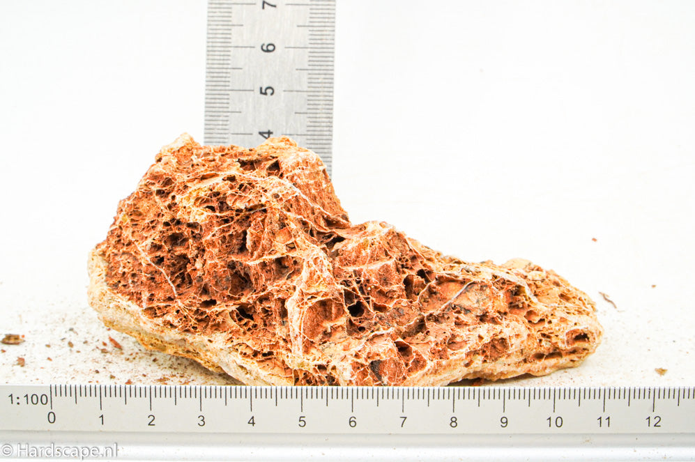 Maple leaf rock S90 - Hardscape.nl