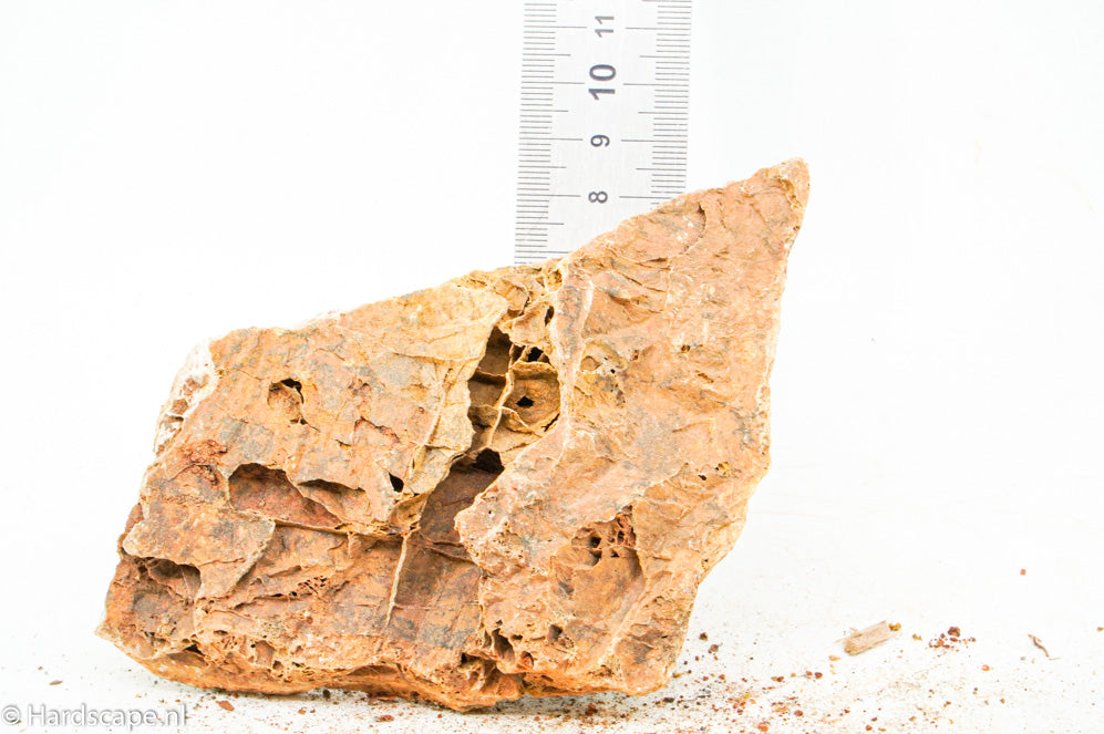 Maple leaf rock S91 - Hardscape.nl