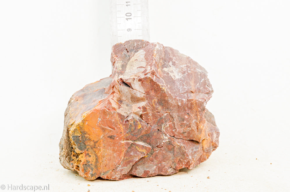 Petrified Wood M62 - Hardscape.nl
