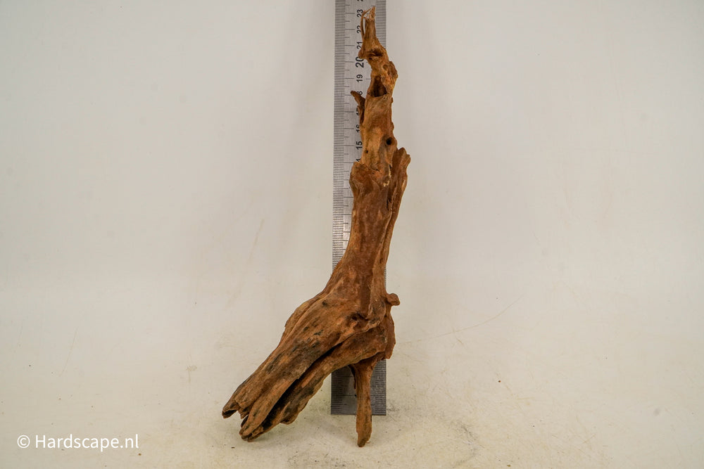 Driftwood S211 - Hardscape.nl