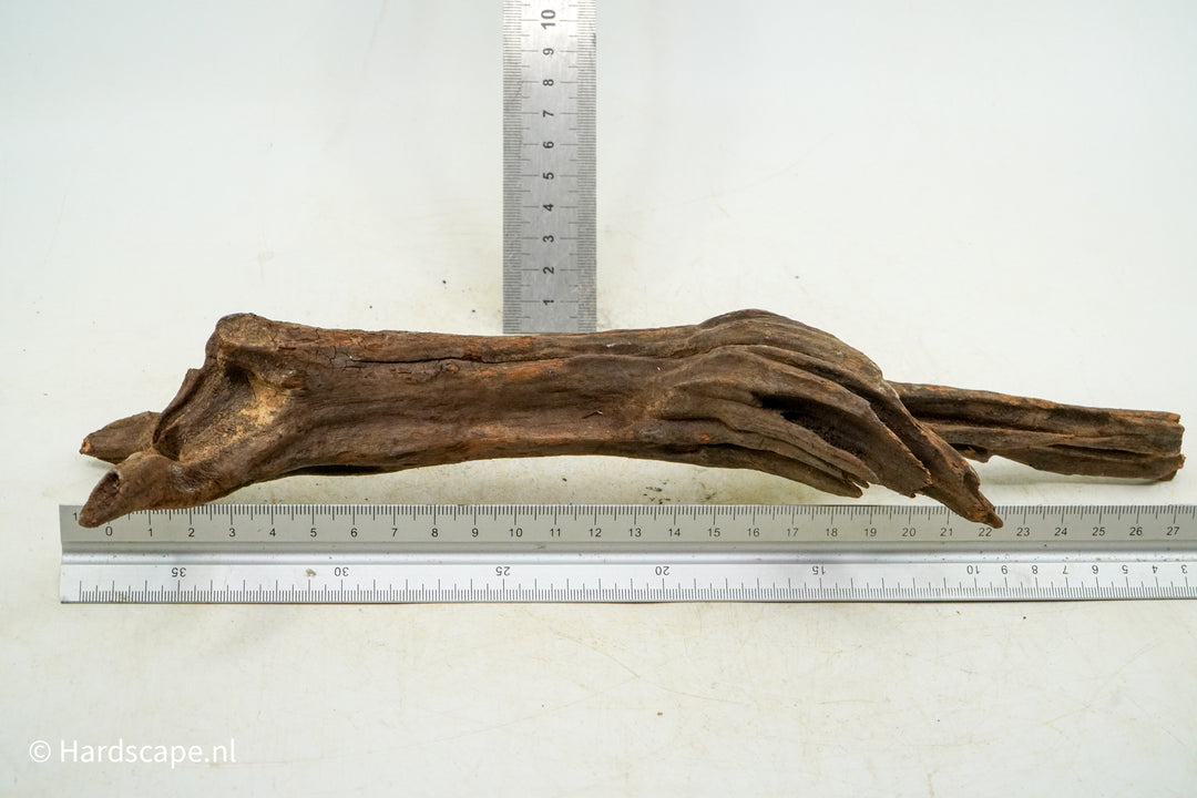 Driftwood S212 - Hardscape.nl