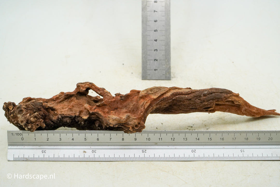 Driftwood S213 - Hardscape.nl
