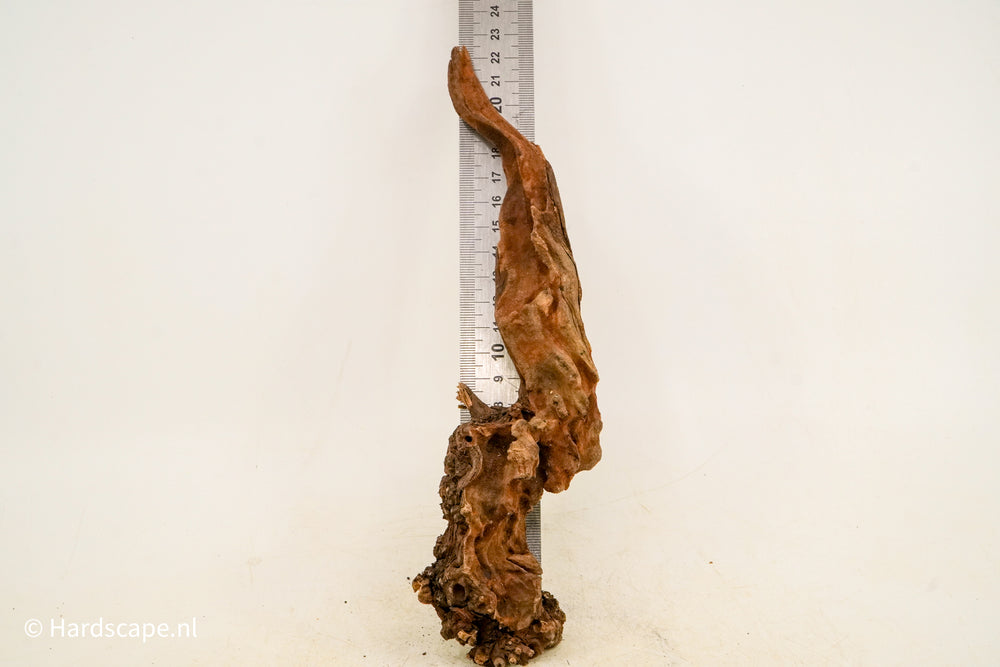 Driftwood S213 - Hardscape.nl