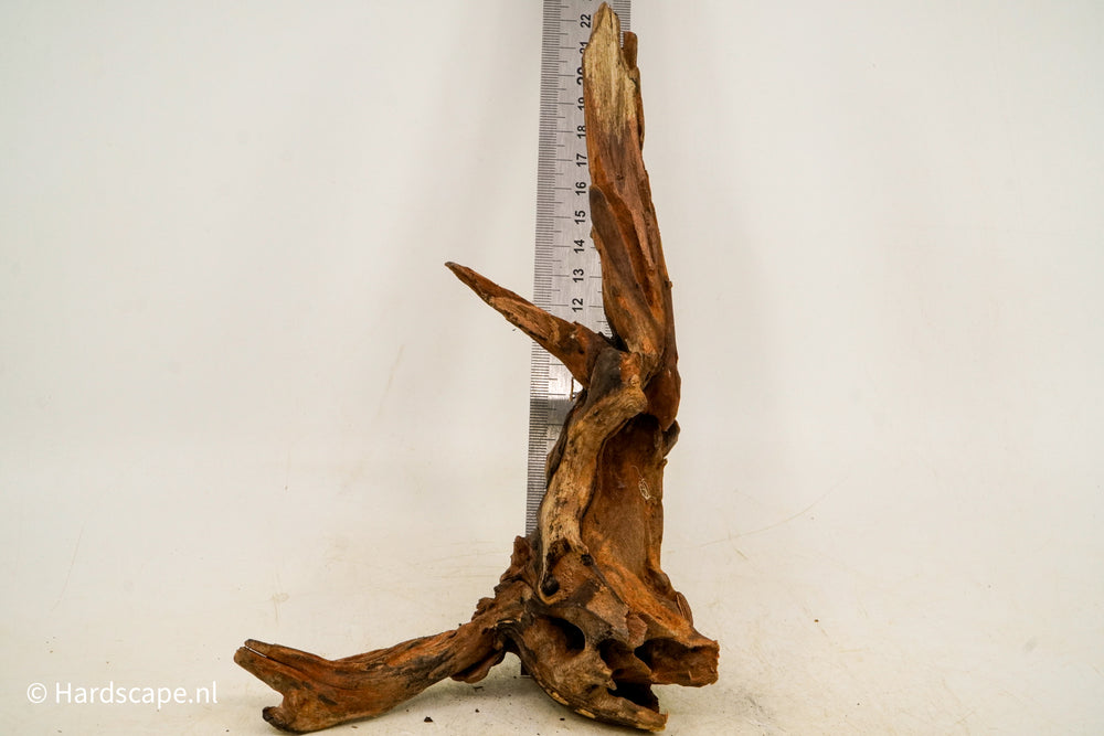Driftwood S214 - Hardscape.nl