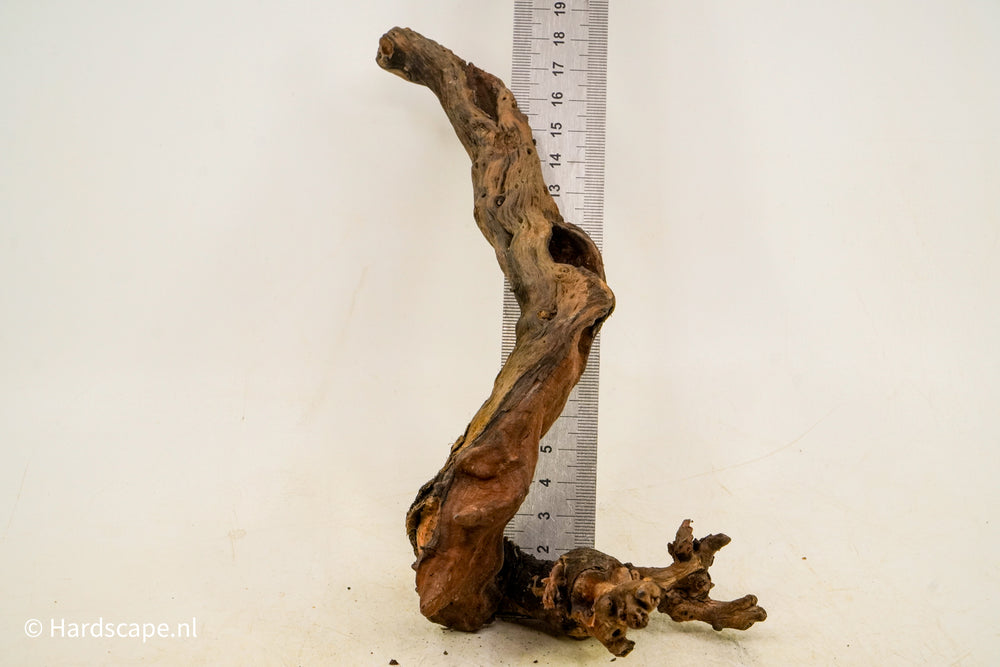 Driftwood S215 - Hardscape.nl