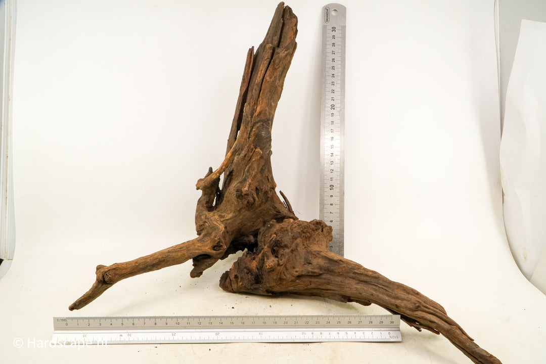 Driftwood L145 - Hardscape.nl
