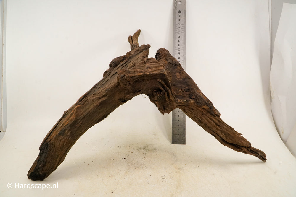 Driftwood L145 - Hardscape.nl
