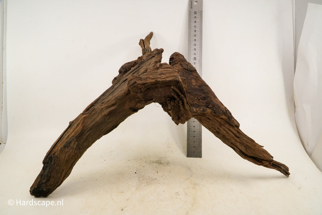 Driftwood L145 - Hardscape.nl