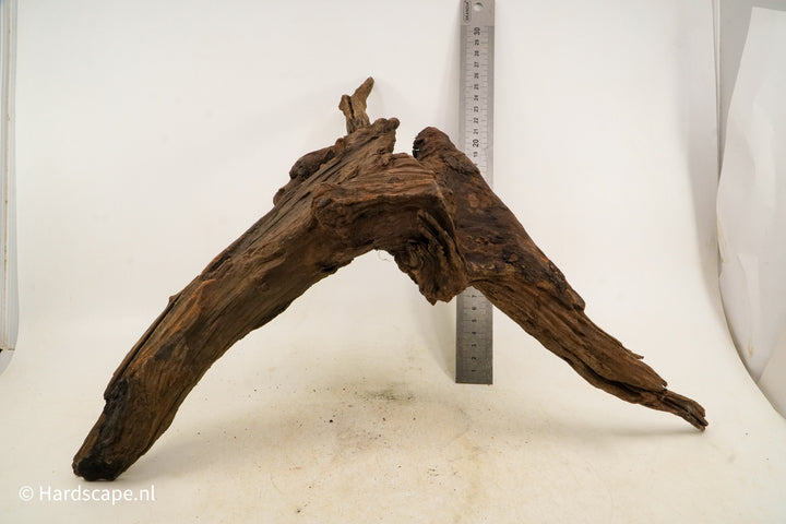 Driftwood L145 - Hardscape.nl