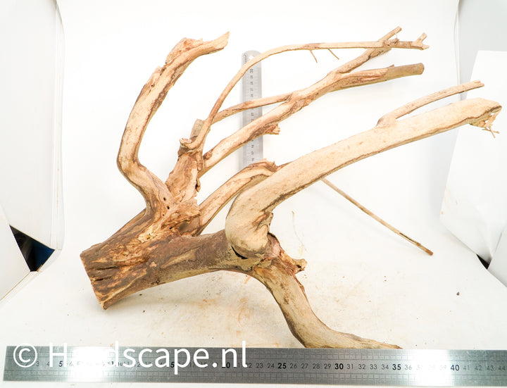Talawa Wood 224 - Hardscape.nl