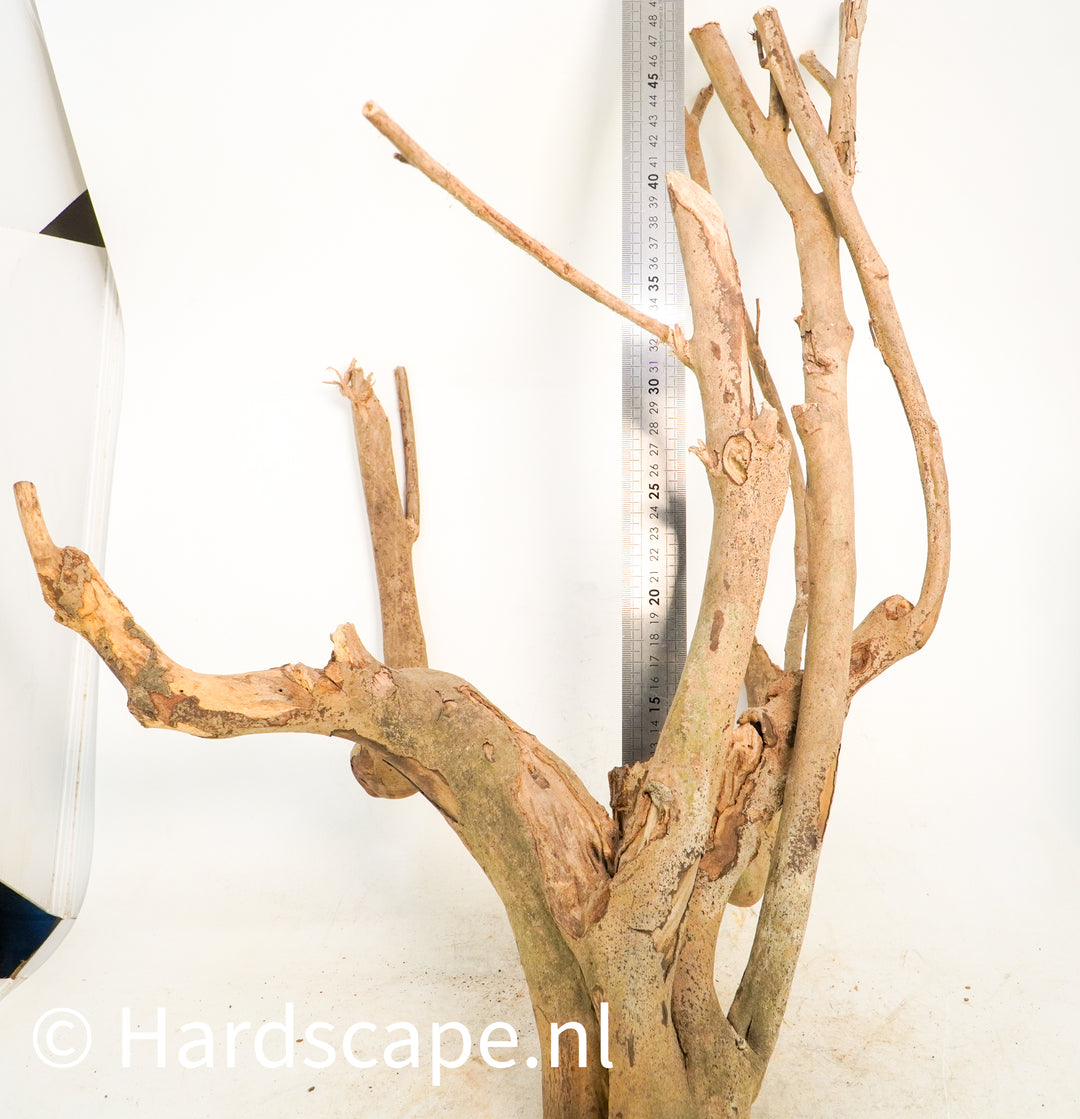 Talawa Wood 224 - Hardscape.nl