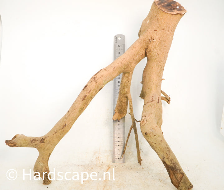 Talawa Wood 225 - Hardscape.nl