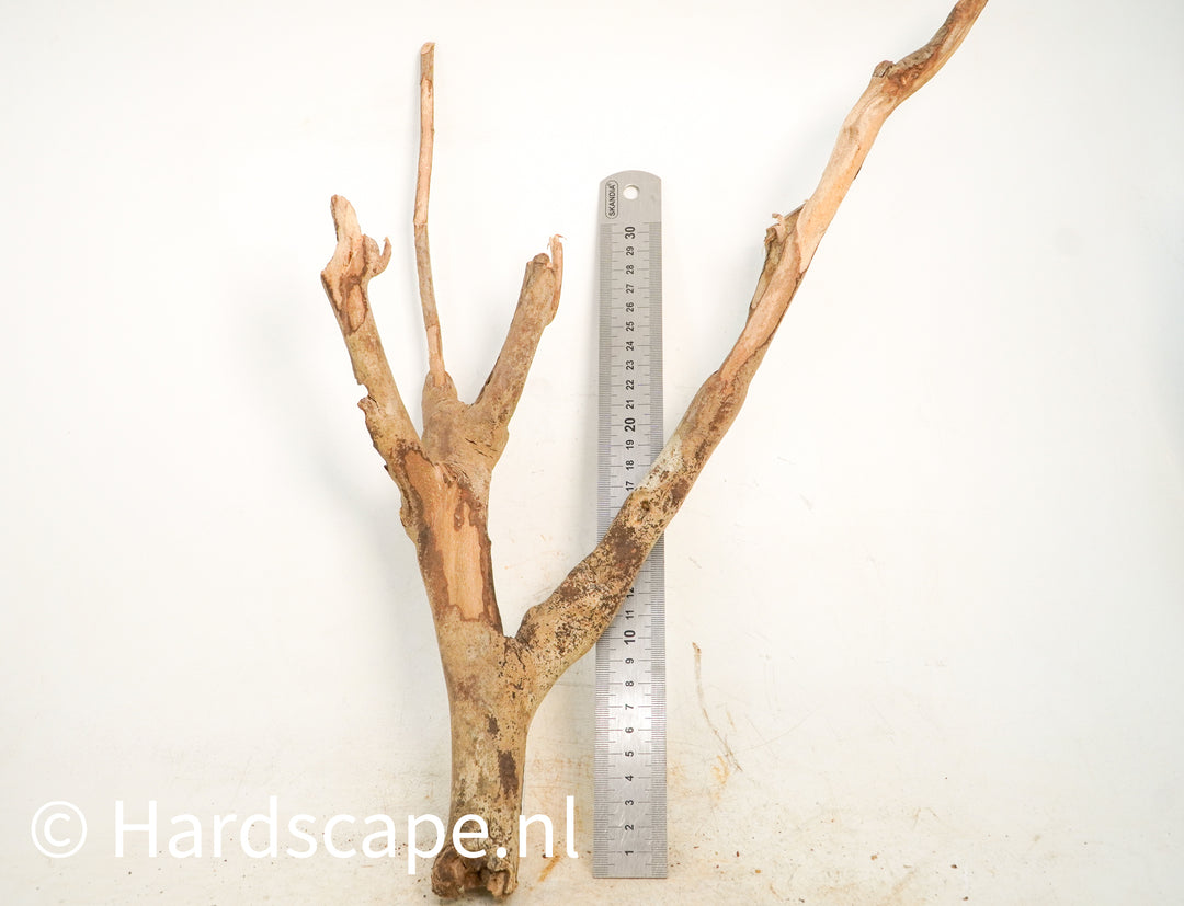 Talawa Wood 227 - Hardscape.nl