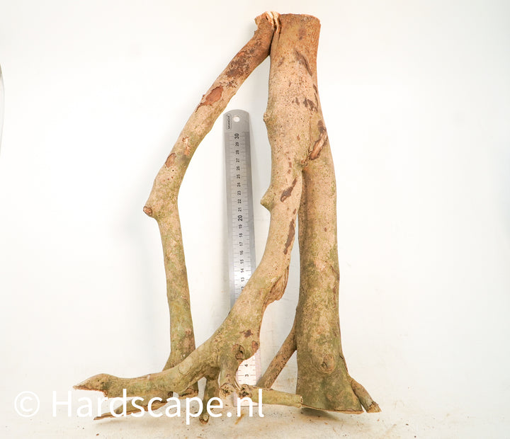 Talawa Wood 229 - Hardscape.nl