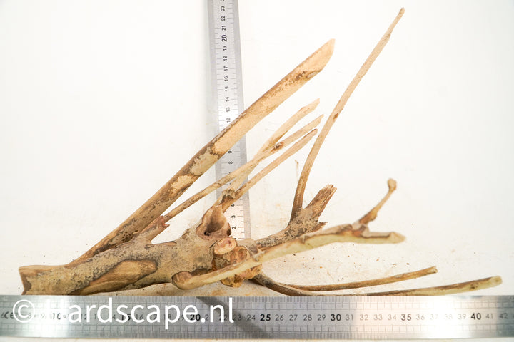 Talawa Wood 230 - Hardscape.nl