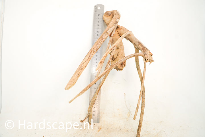 Talawa Wood 230 - Hardscape.nl