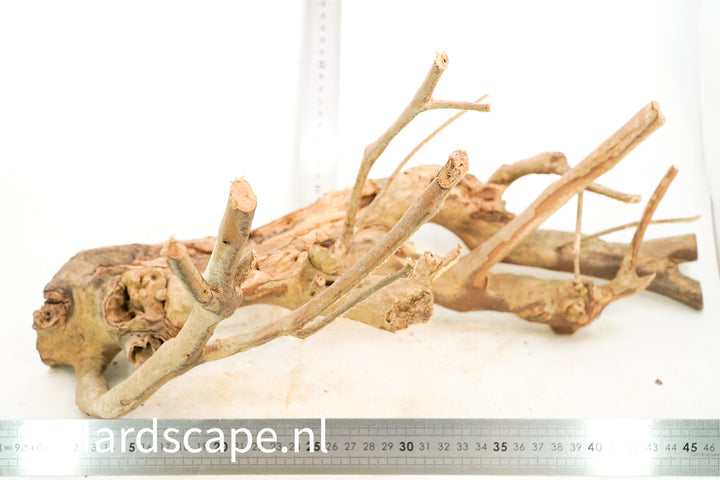 Talawa Wood 234 - Hardscape.nl