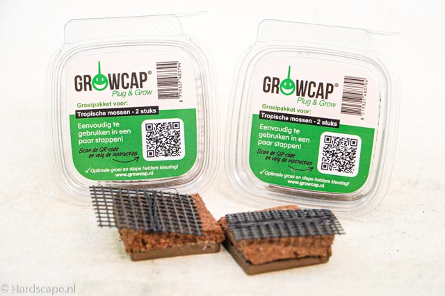 Growplug Plug n Grow Tropische mossen