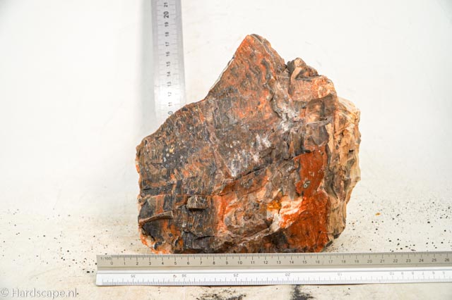 Petrified Wood XL78