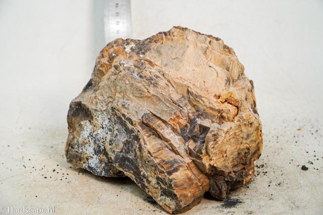 Petrified Wood XL78